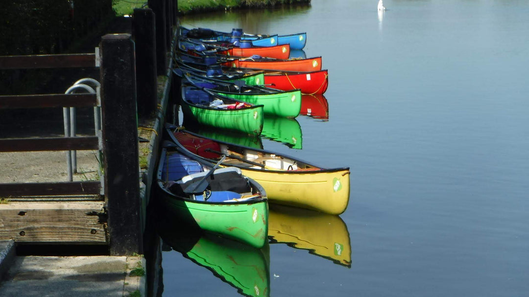 Paddle The Dart - Canoe Tour